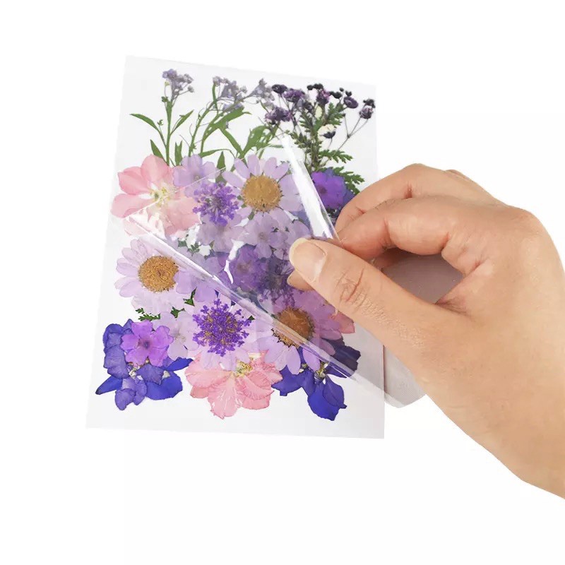 Hoa khô ép chuyên cho mặt và body