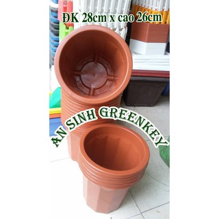 chậu ươm cây E330