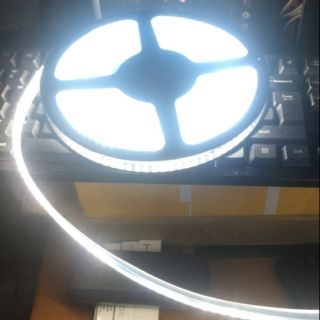 Led dây 2835 168P 12v chống nước dài 5m