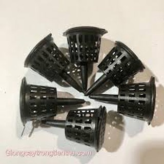 100 DỌ ĐỰNG PHÂN TAN CHẬM CHO LAN