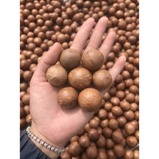 5kg hạt maca tươi