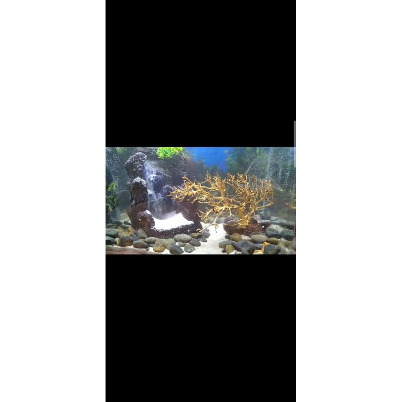 thác cát hồ thủy sinh