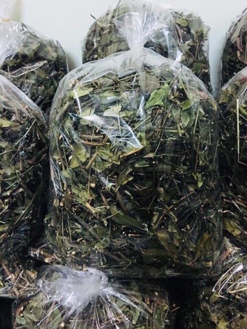 Cao cô đặc từ lá chè vằng 0.5kg