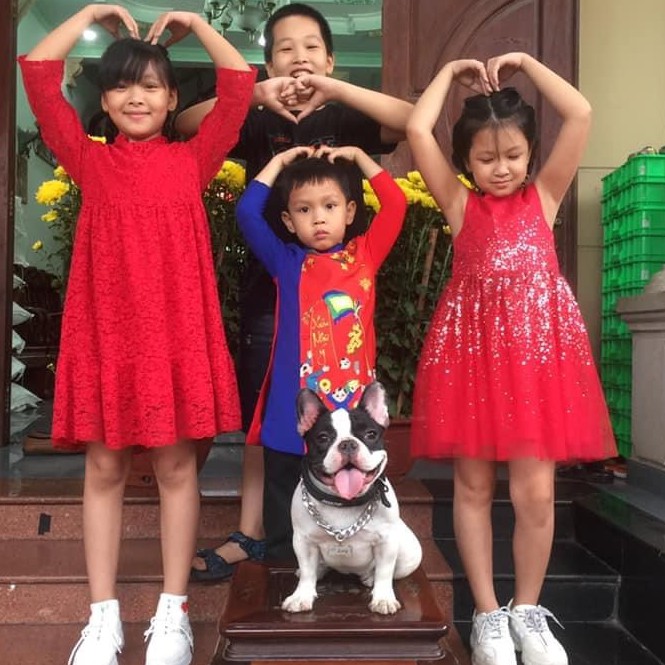 Dây chuyền Mạ Vàng Cho Thú Cưng, Vòng Cổ Thú Cưng Chưa Bao Gồm Thẻ Tên giahuypetshop