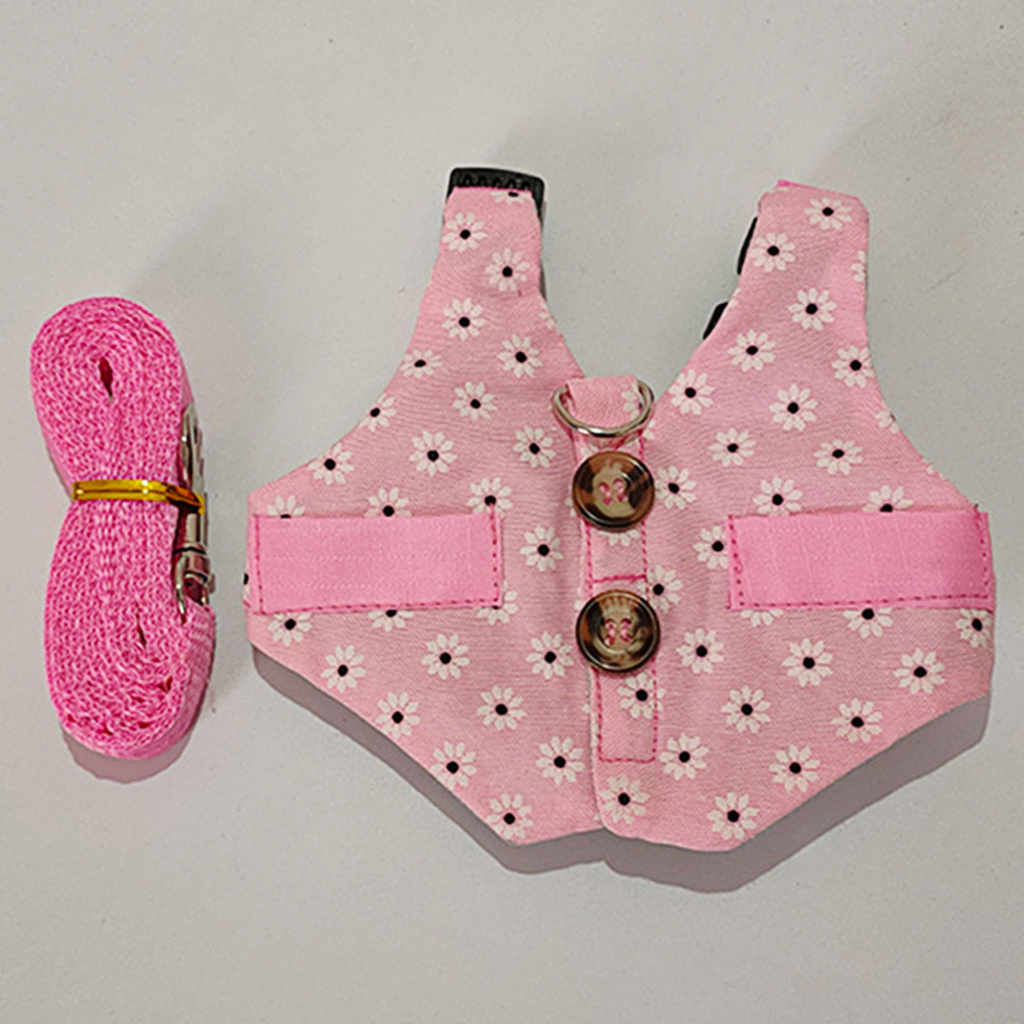 Dây Dắt Thỏ Đi Dạo Đáng Yêu