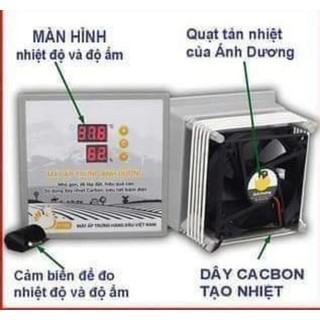 Máy ấp trứng mini ánh dương
