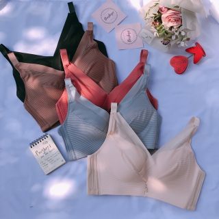 Áo gen, nội y combo khách sỉ
