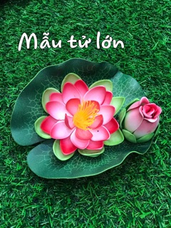 Hoa sen thả nước - hoa thả nước