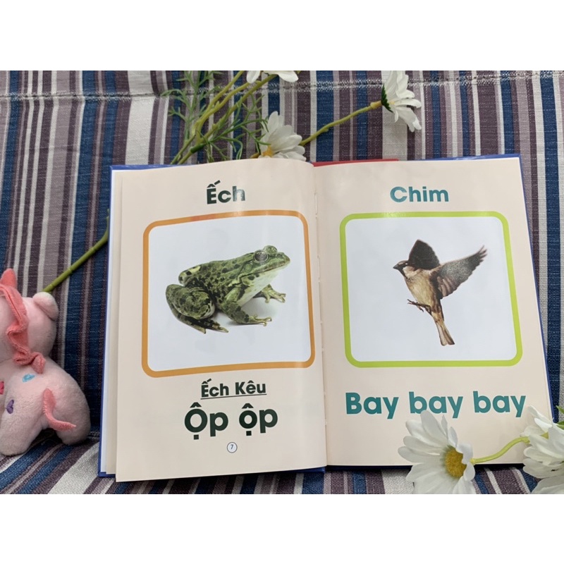 Hot Học Liệu bật âm