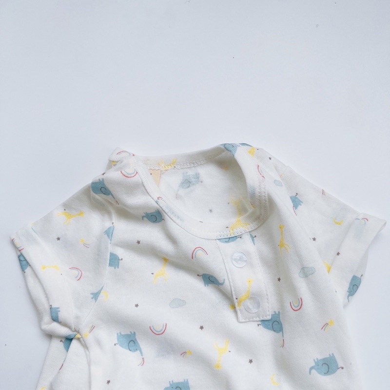 Bộ cotton xuất dư