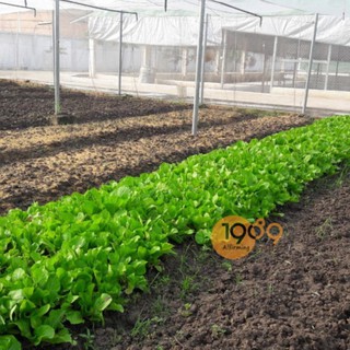 Phân Hữu Cơ PG201VS Vi Sinh, Phân Gà Ủ Hoai (1kg)