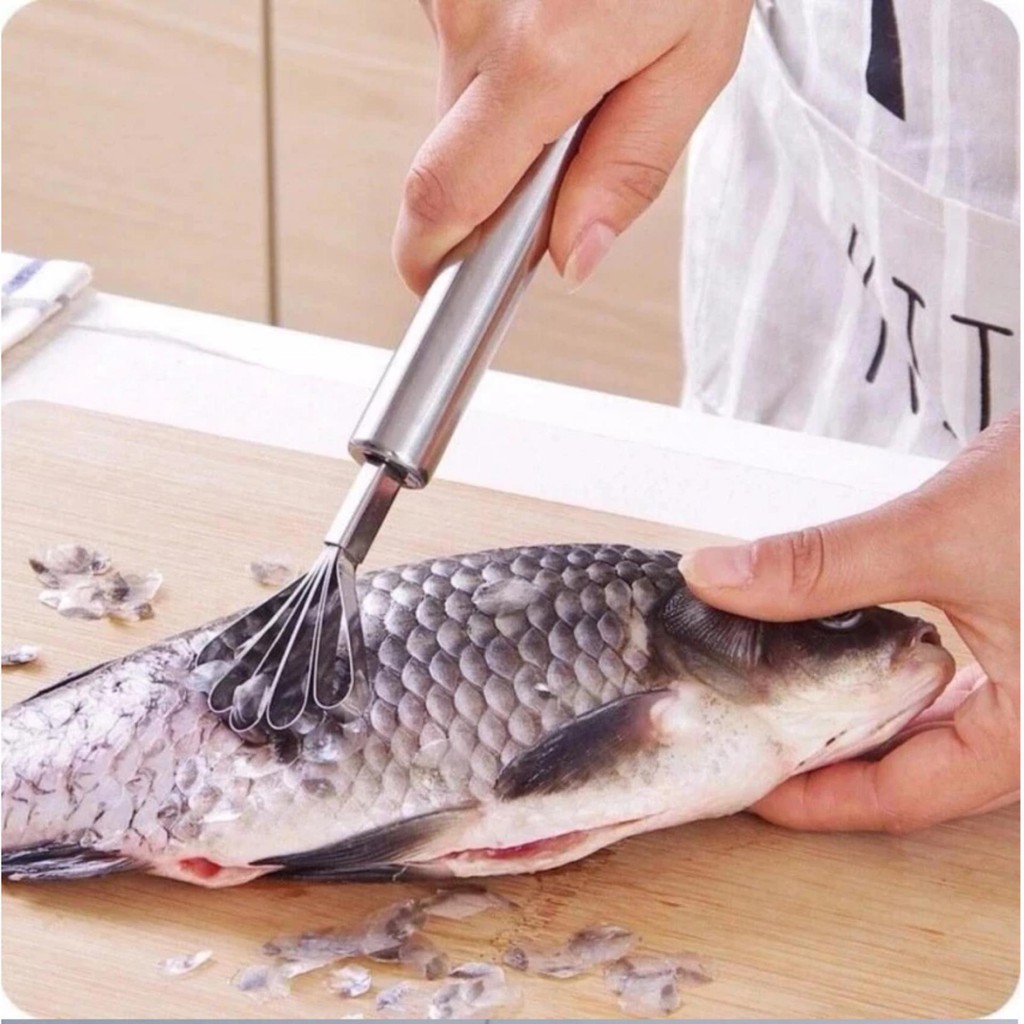 [FREESHIP] Dụng Cụ Đánh Vảy Cá Nạo Dừa INOX