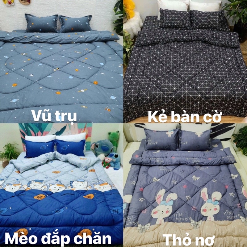 Set Chăn phao ga gối poly