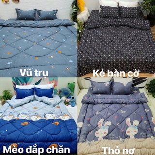 Set chăn phao ga gối poly