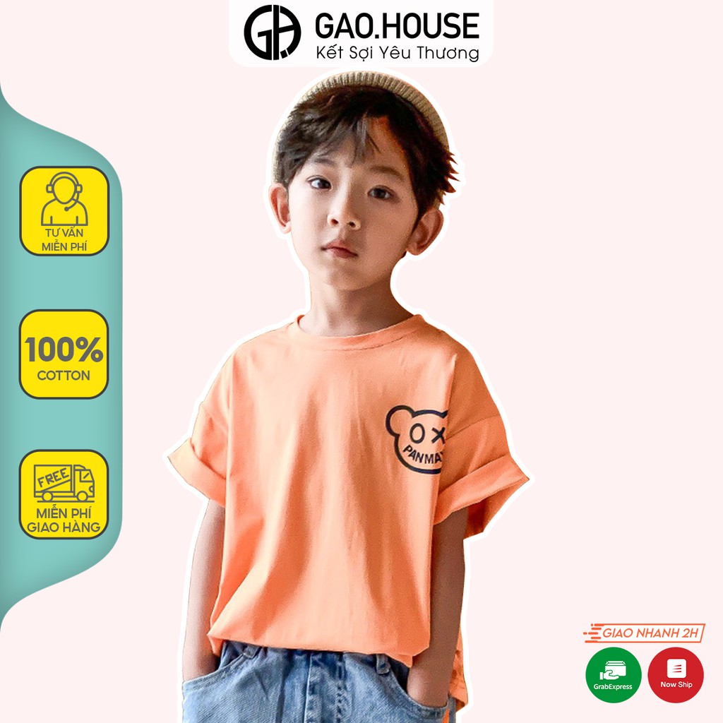 Áo thun bé trai Gạo House cổ tròn cộc tay hình Gấu Panmax, chất vải thun cotton 4 chiều, nhiều mầu sắc. T16