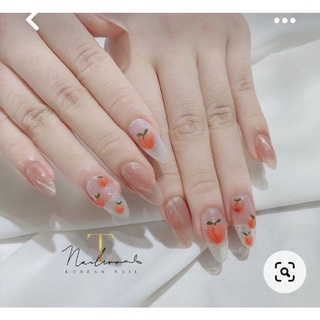 Nailbox thiết kế