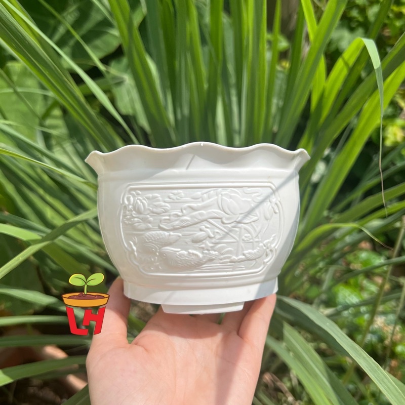 Chậu Nhựa Trồng Cây (Chậu Uyên Ương) 13X9.2Xh8.6Cm Chậu Mini Trồng Sen Đá