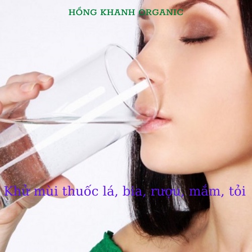 Nước Súc Miệng Chà Răng VƯỜN TRẦU 1300ML VIETHERB