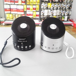 Loa Wster WS-A9 (WSA9)