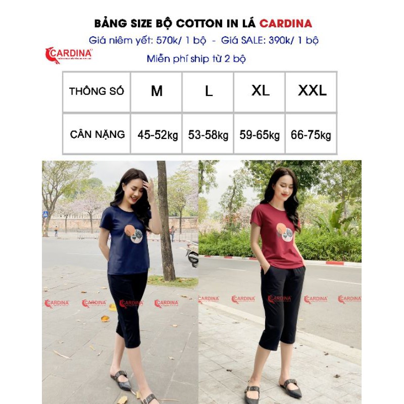 Đồ bộ mặc nhà CARDINA chất Cotton cao cấp áo cộc tay quần ngố kiểu dáng trẻ trung năng động.