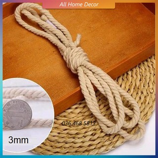Chai thủy tinh cắm hoa trang trí dây thừng