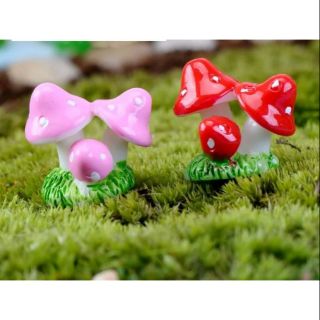 Tiểu cảnh: Nấm chùm làm phụ kiện trang trí sen đá, xương rồng