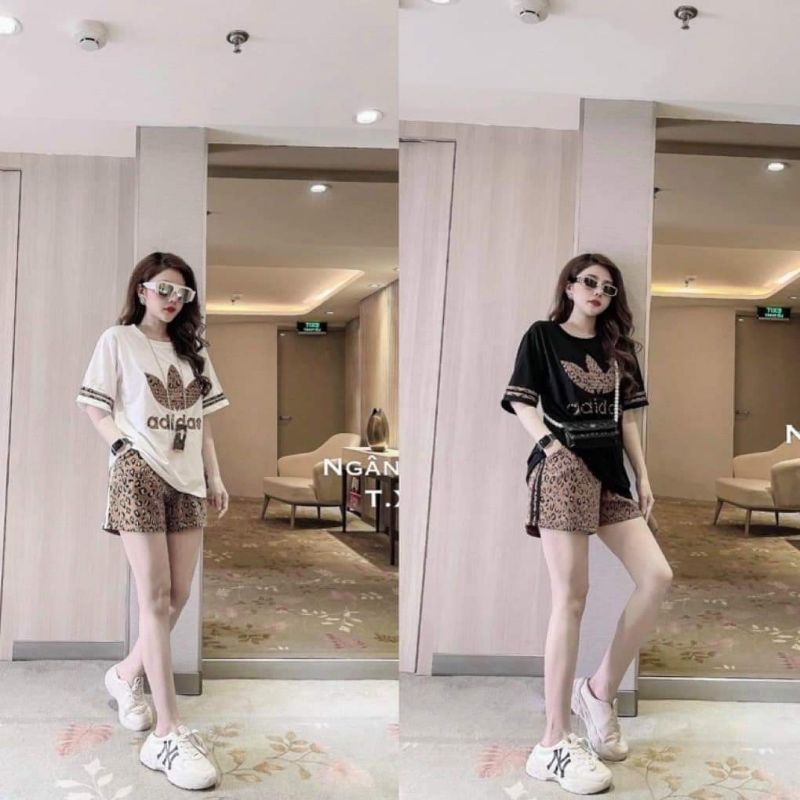 sét đồ nữ có size lớn thêu gấu kèm áo thun tay lỡ form rộng, đồ bộ nữ đẹp