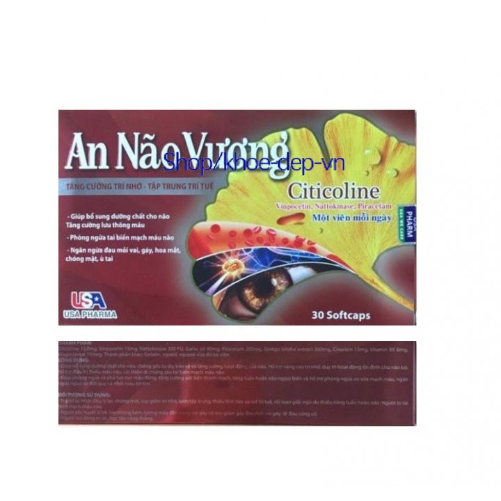 Viên bổ não An não vương giúp tăng cường trí nhớ, tăng tuần hoàn máu não, ngừa tai biến - hộp 30 viên