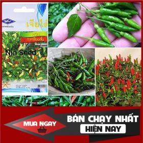 [ Big Sale ] Hạt giống ớt xiêm núi Thái Lan