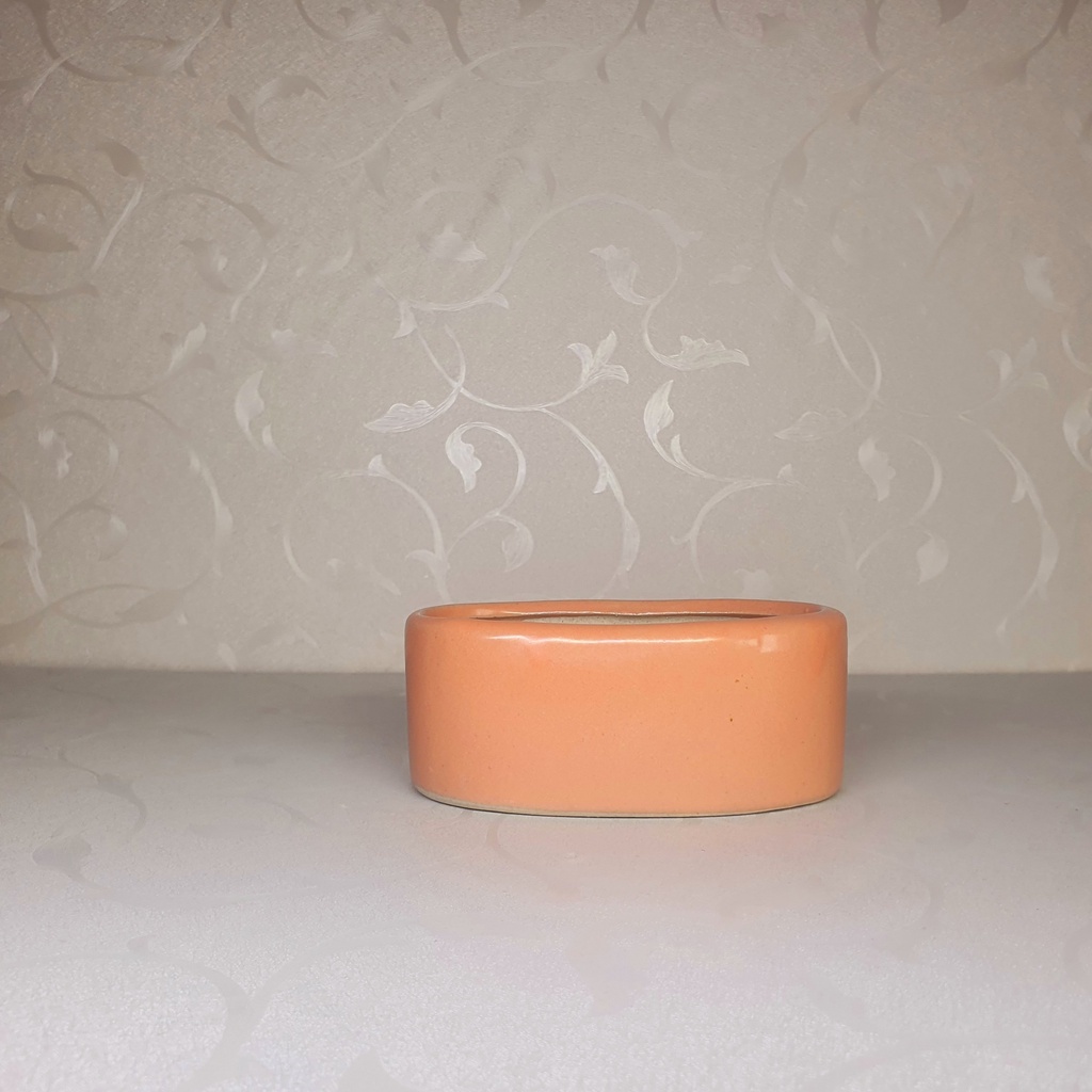 Chậu trồng cây cảnh , chậu cậy mini , sen đá , xương rồng, hoa nhỏ - Kiểu hình Oval -