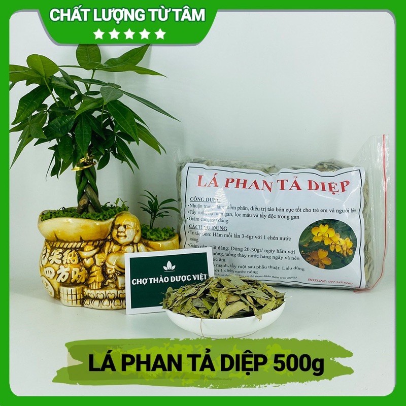 Phan tả diệp 1 kg giảm cân nhuận tràng