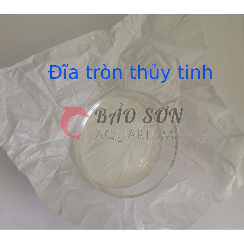 Bộ ống và đĩa  cho tép ăn từ 25cm - 40cm bằng thủy tinh và acrylic