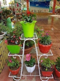 Kệ cây cảnh 6 tầng