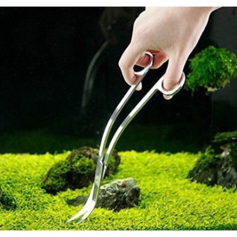 Kéo Inox Lượn Sóng Tỉa Cây Thuỷ Sinh