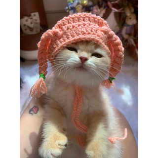 Nón len cho mèo,cún,thỏ,......