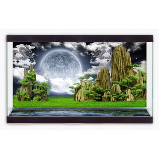 Tranh phông nền dán hồ cá, bể thủy sinh Aquarium tank - 041