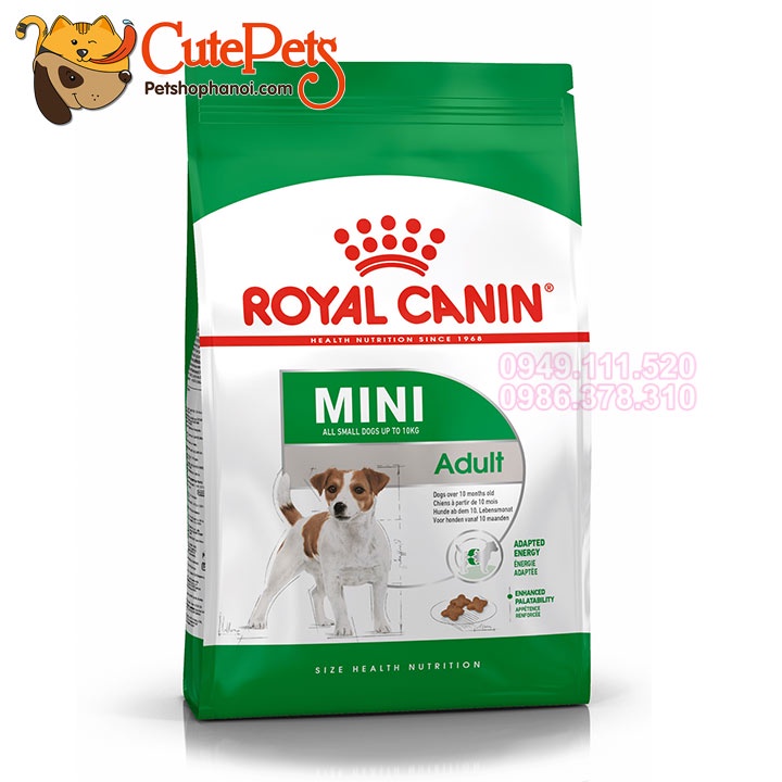Thức ăn chó Royal Canin Mini ADULT 2Kg hạt cho chó lớn - Phụ kiện thú cưng