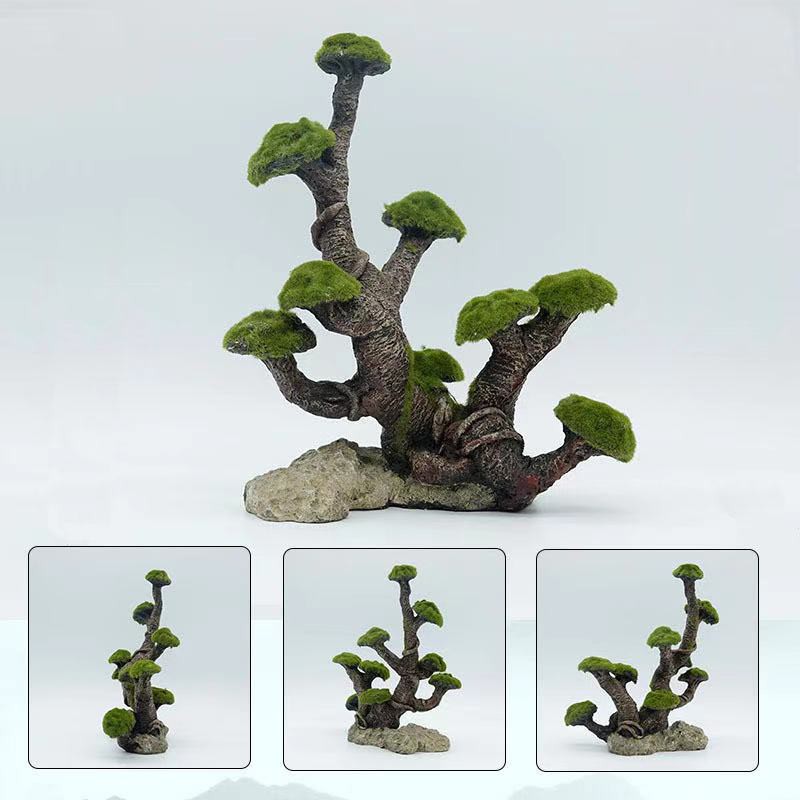 Trang Trí Hồ Cá Lũa Phủ Rêu