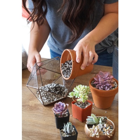 2 LÍT - Đá Perlite – Đá trân châu 3-6mm, 6-12mm