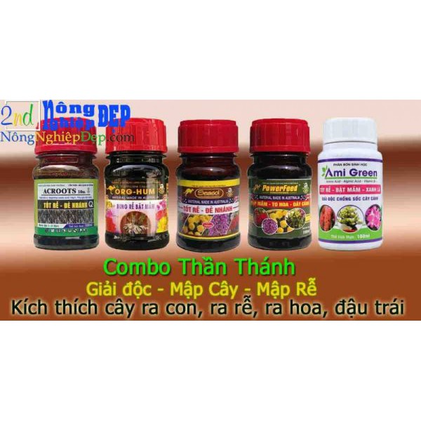 Bộ Phân Thuốc Mập Thân Mập Rễ