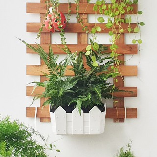 Chậu hàng rào treo tường - chậu trồng cây , rau , trang trí tiện lợi