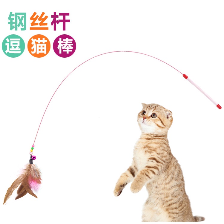 Cần câu đồ chơi cho mèo cưng thiết kế hình lông vũ/cá nhỏ vui nhộn