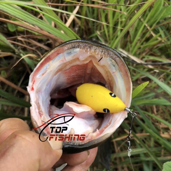 Nhái Hơi F35 TNT Lures ( Tặng Thìa Vàng Độ ) Dài 35mm - Nặng 8gam - Action Chìm - TopFishing