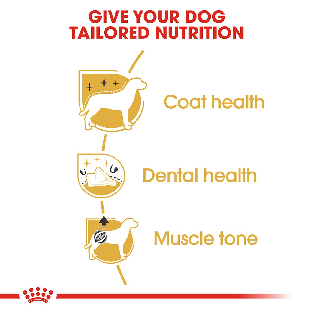 Thức Ăn Hạt Royal Canin Poodle Adult Cho Chó Poodle Trưởng Thành