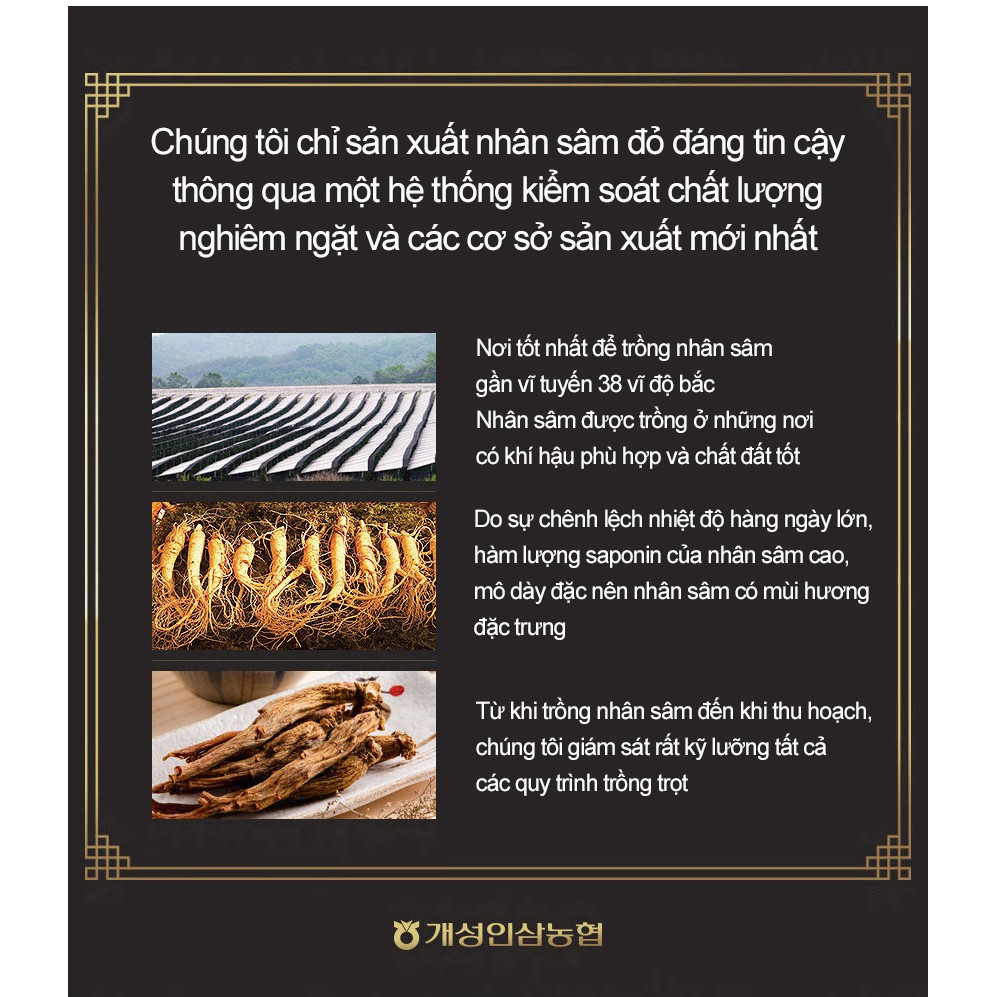 Mua 5 Hộp  Tặng 1 Hộp Nước Hồng Sâm Hàn Sâm Bornga Bồi Bổ Sức Khỏe | BigBuy360 - bigbuy360.vn