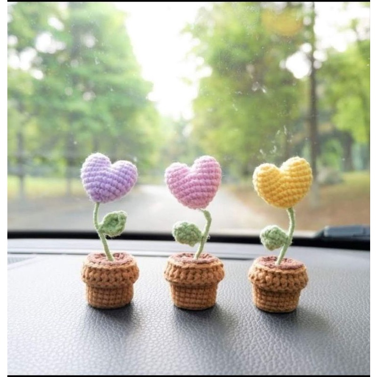 Cây hoa mini siêu xinh