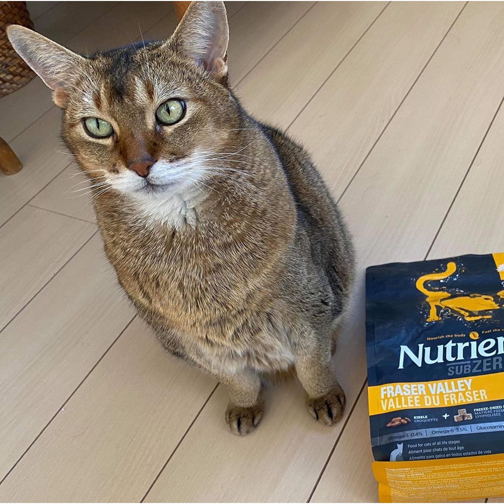 Thức Ăn Hạt Cho Mèo Anh Lông Dài, Ngắn - Nutrience Subzero Bao 5kg - 4 Loại Thịt (Gà Tây, Cá Hồi,...) Rau Củ, Trái Cây