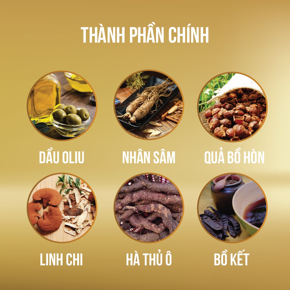 Dầu Gội Đen Tóc Phủ Bạc Nhât Bản Mochi Lên Màu Đen/Nâu Hạt Dẻ Giúp Tóc Óng Mượt chai 500ml