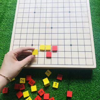Ô số sodoku và cờ carô