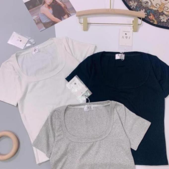 Áo thun nữ cổ U áo phông nữ cộc tay 3 màu đen trắng xám cho nữ chất cotton mềm mịn thời trang Banamo Fashion 314
